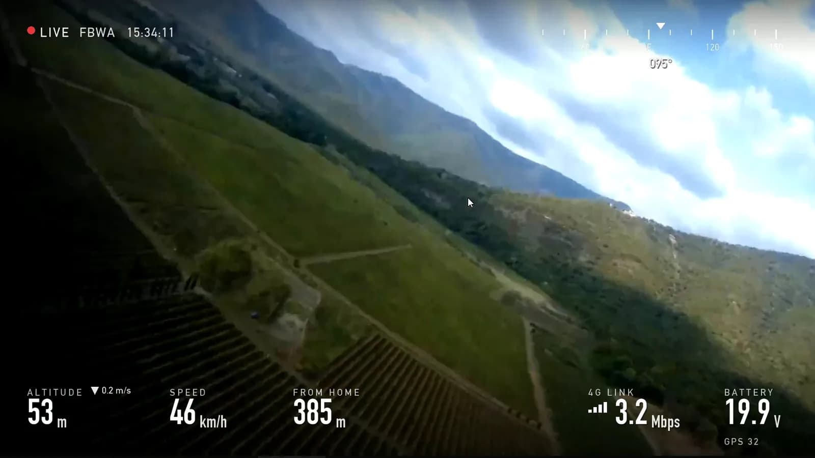 Steep bank with a vineyard slope filling the frame