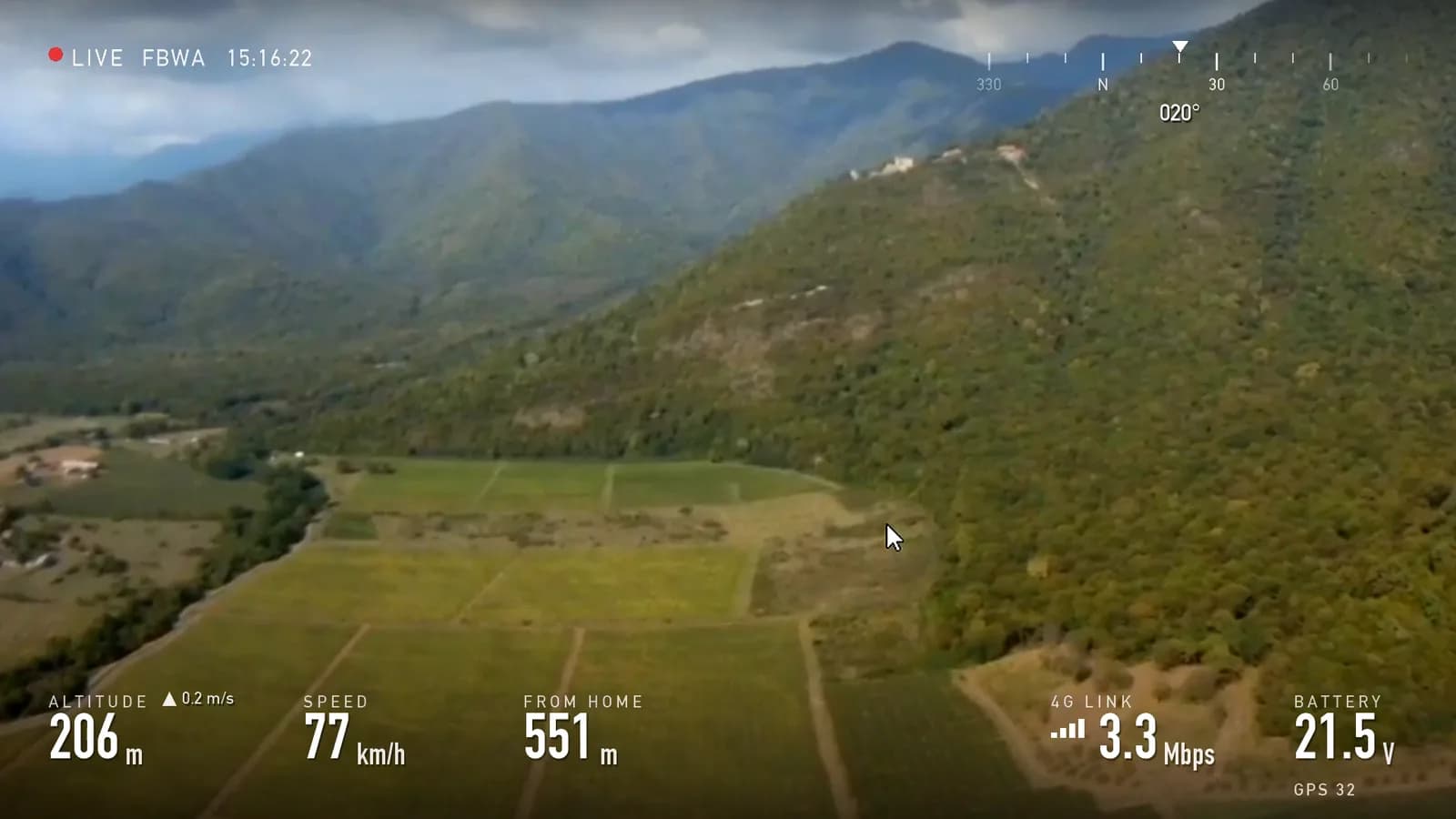 Vineyards running up to a forested ridge