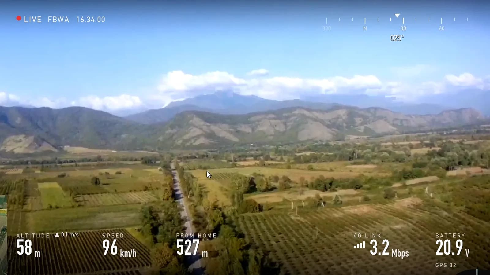 Wide view down the valley with a tree-lined road through the vineyards